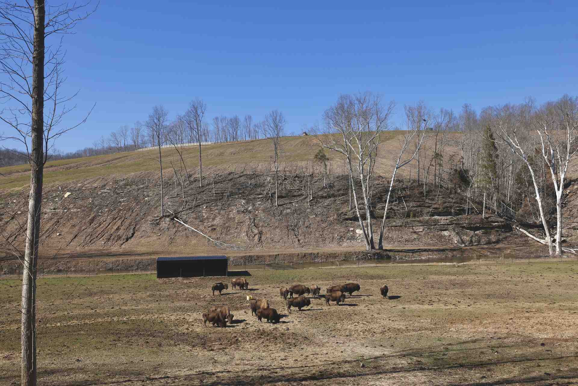 Bison Ridge landscape panorama